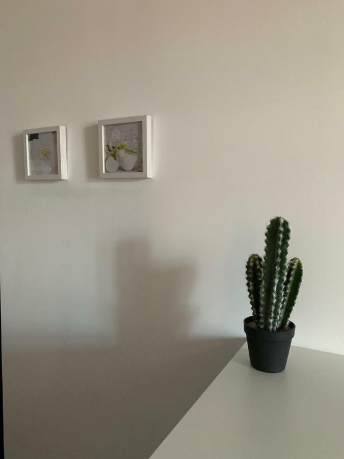 Beau T4 Hyper Centre Avec Parking Apartment Perpignan Exterior foto